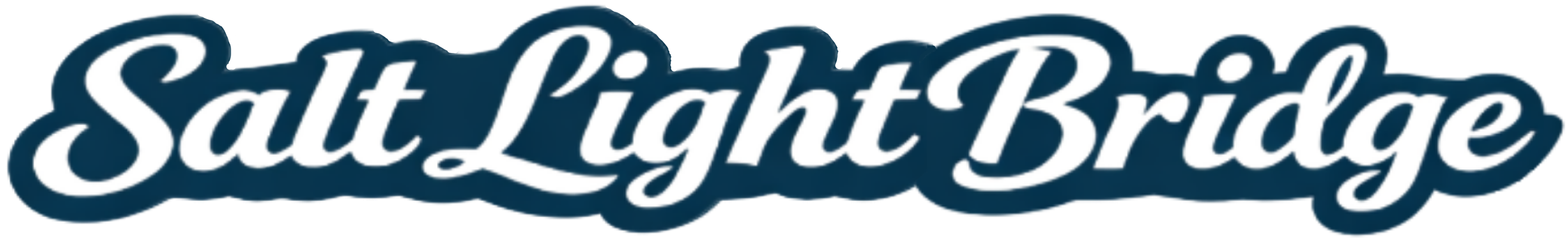 Salt Light Bridge White Script Logo Outlined in Navy